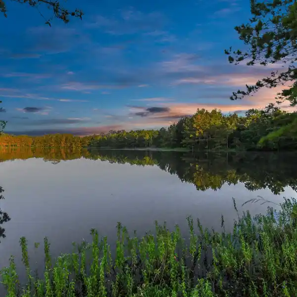 FISHING, RECREATION, AND OPPORTUNITY ON 30 SERENE ACRES