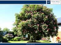 REPRESENTATIVE COUNTRY ESTATE IN A SECLUDED LOCATION