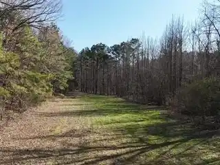 71-Acre Tract