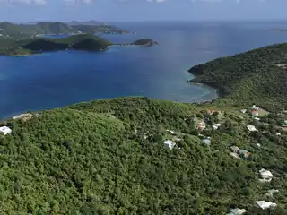 Pristine Wooded Property Overlooking Coral Bay Harbor