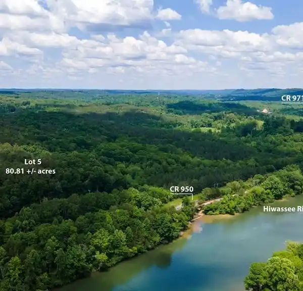 BEAUTIFUL LOT ALONG THE HIWASSEE RIVER