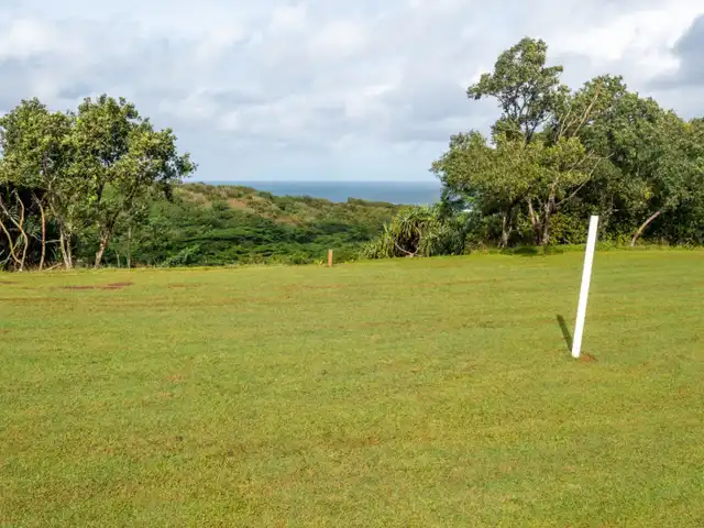 Large Image