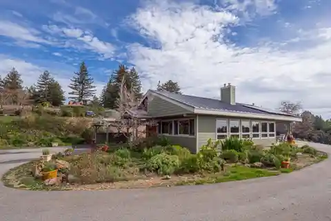 Incredible Corralitos Home and Property