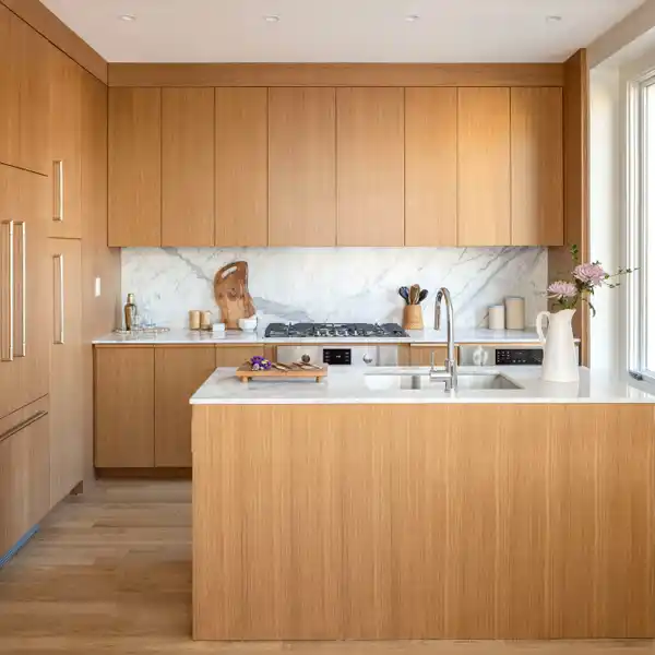 STYLISH DUPLEX WITH TWO TERRACES