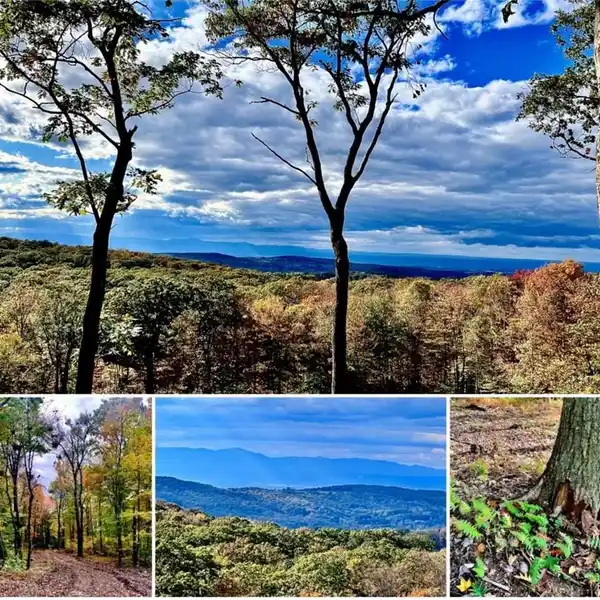 275 ACRES OF UNPARALLELED COUNTRY LIVING