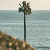 Waterfront
