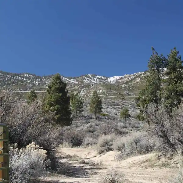 BEAUTIFUL SPRAWLING PROPERTY WITH SEVERAL BUILDING SITES