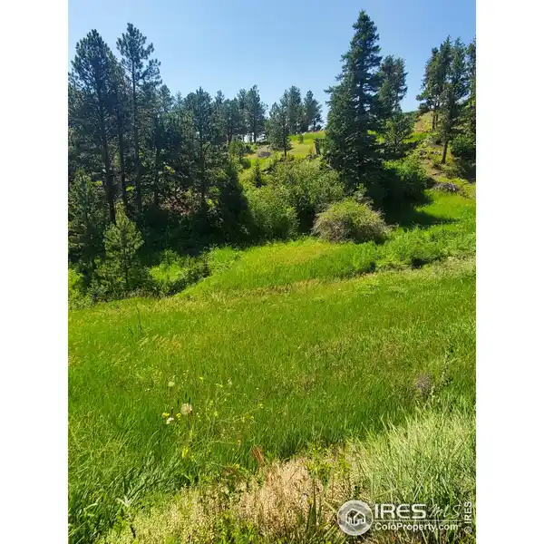 RARE 95-ACRE MOUNTAIN RETREAT