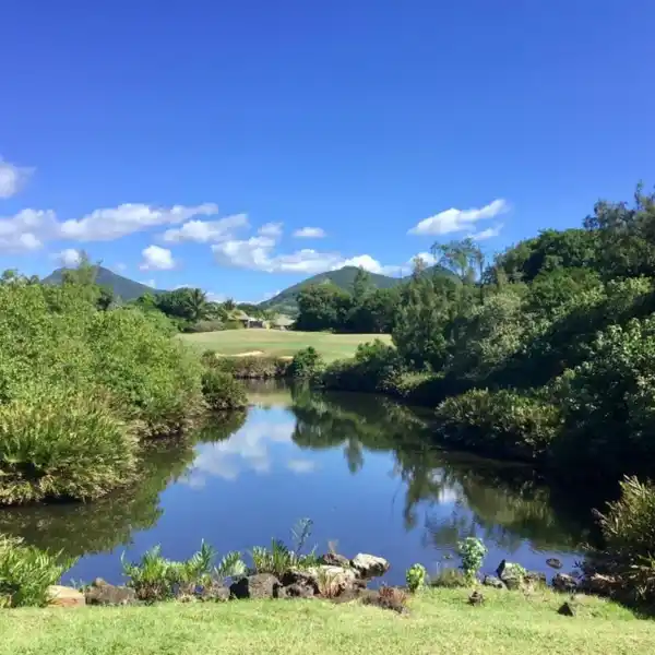 SUPERB LUXURY VILLA IN THE ANAHITA FOUR SEASONS