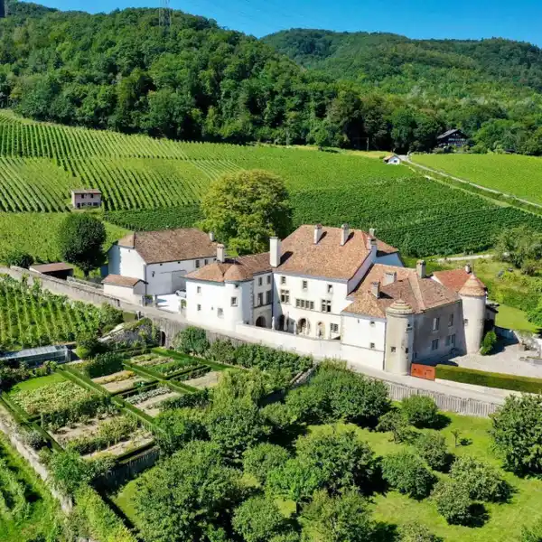 CHâTEAU LE ROSEY
