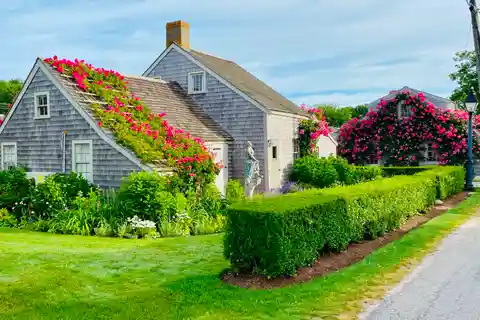 Shanunga - Antique Rose-covered Cottage