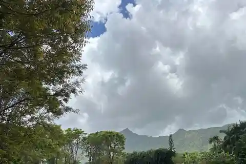 5.5 Acres on the North Shore of Kauai