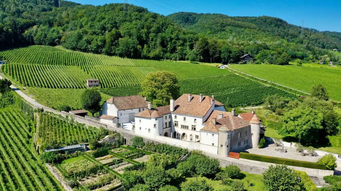 Château Le Rosey