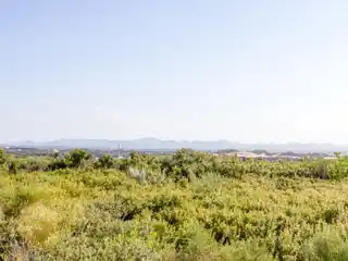 Architecturally Distinctive Home