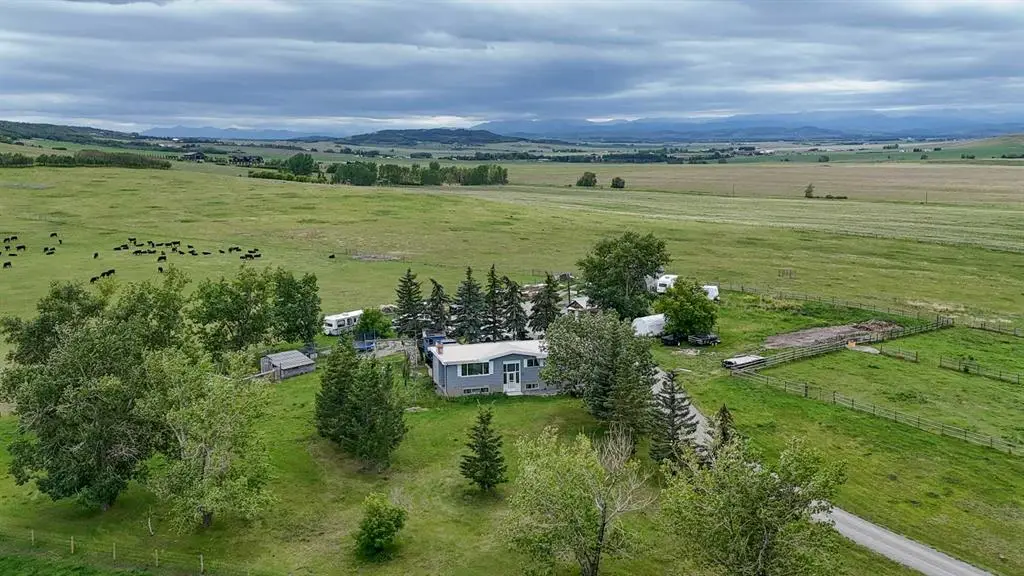 Large Image