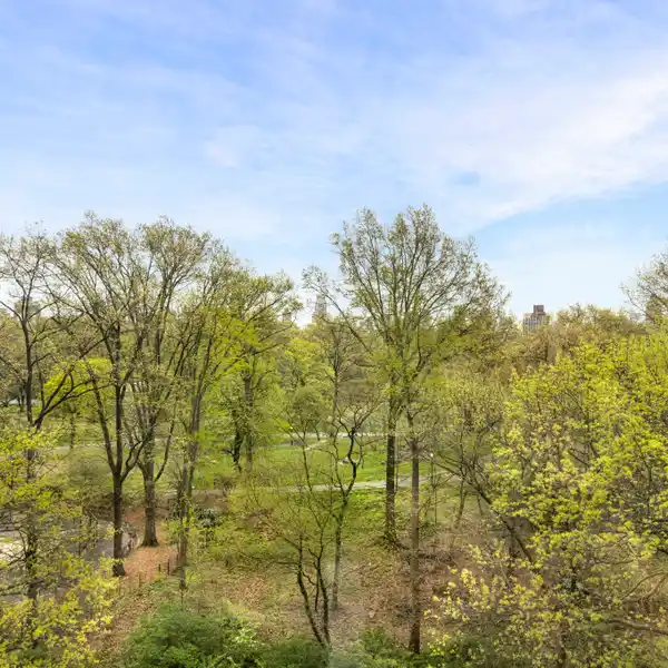 ARISTOCRATIC PRE-WAR EIGHT-ROOM HOME WITH PARK VIEWS