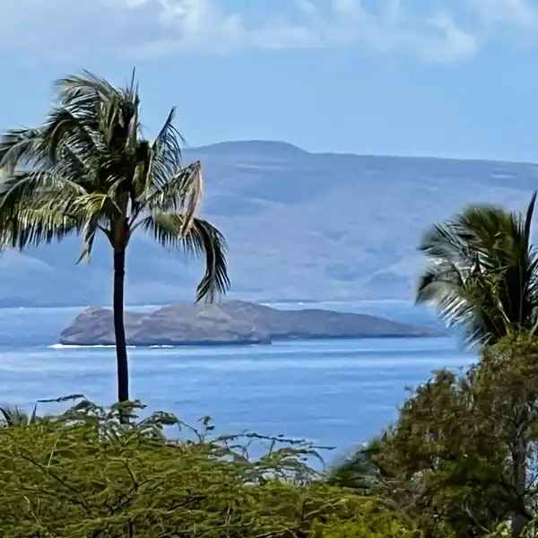 EXPANSIVE WAILEA LOT WITH BREATHTAKING OCEAN VIEWS