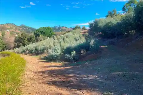 Over 20 Acres in Picturesque De Luz