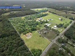 Stunning Working Cattle Farm for Sale