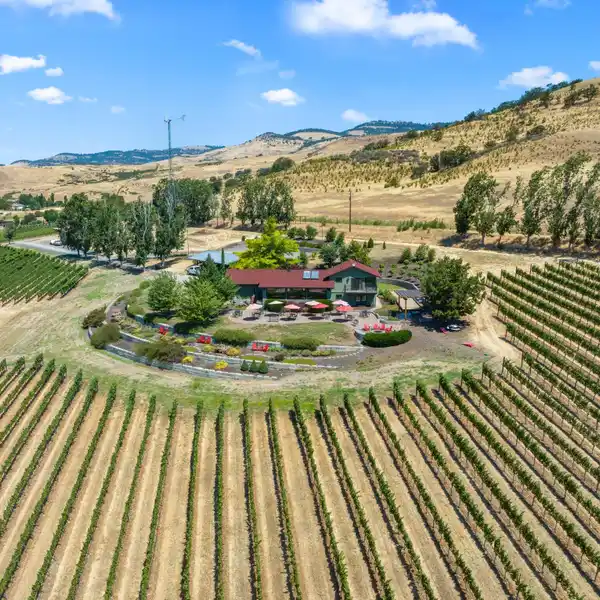 DANA CAMPBELL VINEYARDS