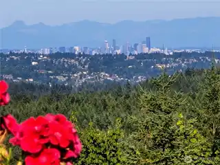 Luxury Home on 2.5 Forested Acres