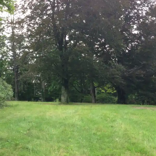 BEAUTIFUL LEVEL PROPERTY