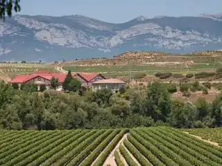 Winery in Premium Location