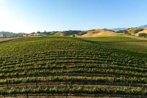 Build Your Dream Wine Country Estate on 20 Acres