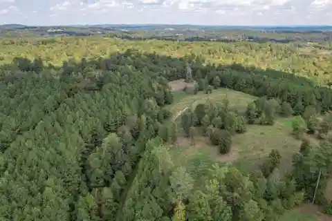 80.93-Acre Parcel in the Heart of Bradley County