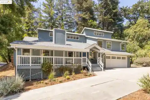 Updated Gem in the Redwoods of Montclair