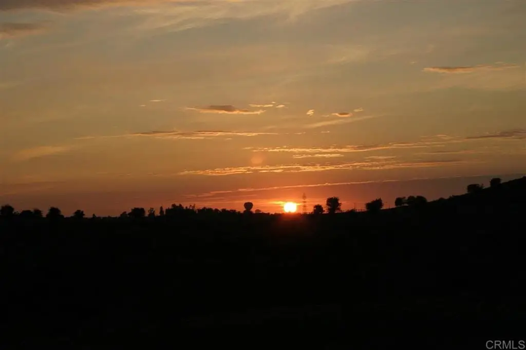 Large Image