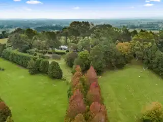 The Country Dream on 11 Acres