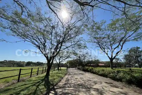 Sprawling Horse Property