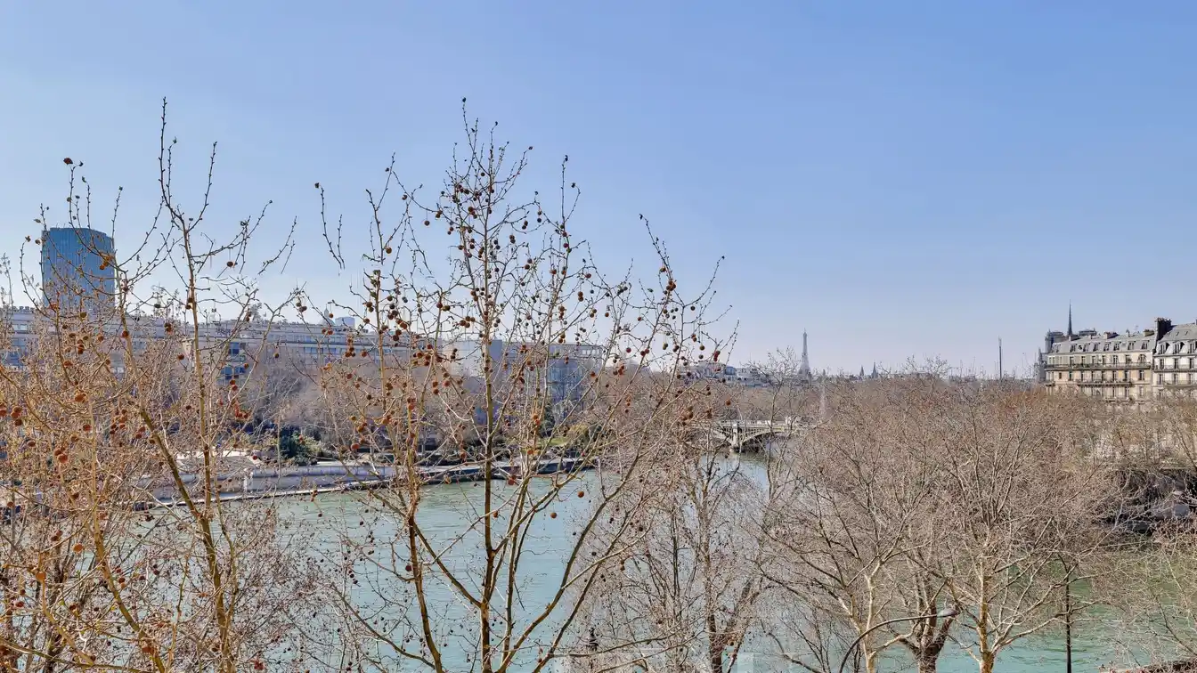 Magnificent Apartment Facing the Seine