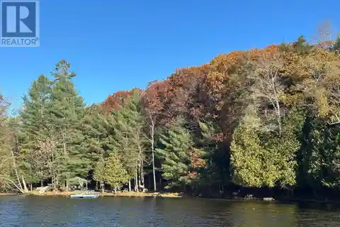 82 Acre Lakefront Property with Endless Possibilities