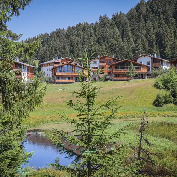 STUNNING LODGING AT PRIVÀ ALPINE LODGE