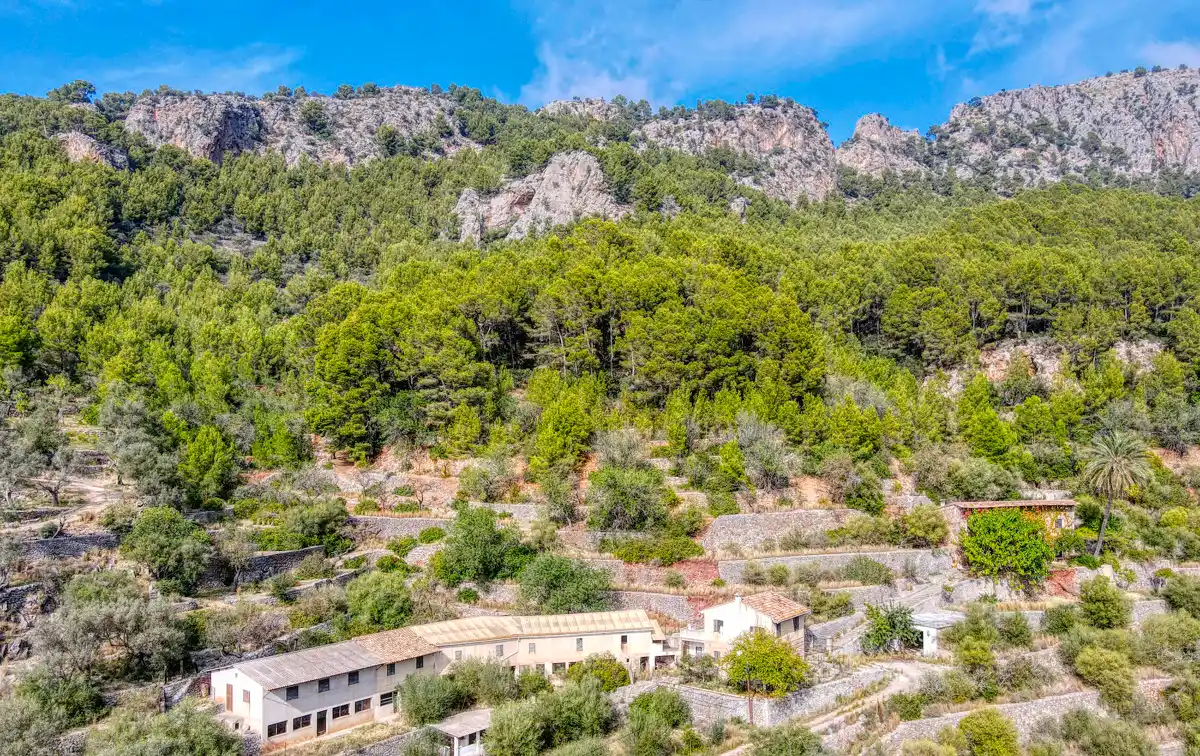 Exclusive Property in a Unique Enclave