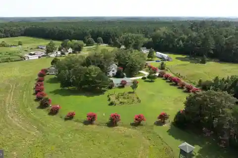 Messongo Farm