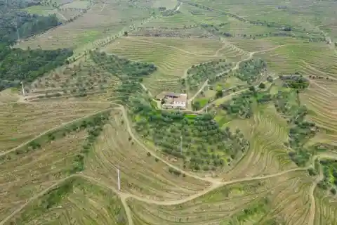 Exceptional Vineyard Property