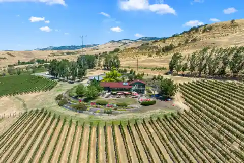 Dana Campbell Vineyards