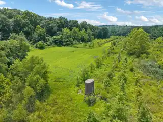 Premier Whitetail Property with Cabin Lodging