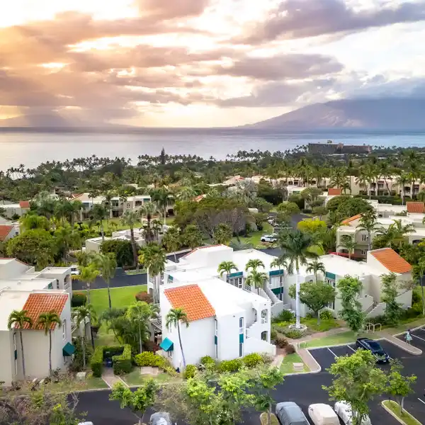 TRANQUILITY ON THE TOP ROW OF THE PALMS AT WAILEA