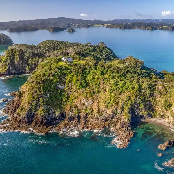 EAGLES ON MOTUAROHIA