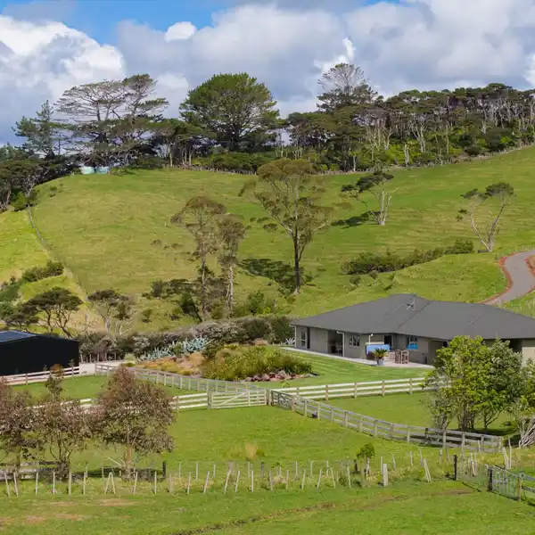 THE COMPLETE PACKAGE