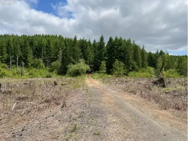 175 Acres Full of Potential