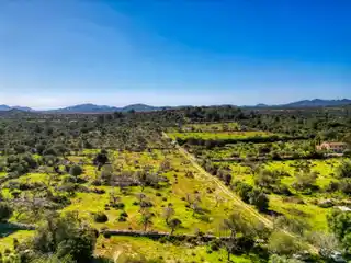 Large Plot with House to Renovate Surrounded by Nature in Artà