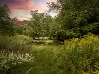 Expansive Waterfront Acreage with Endless Possibilities