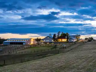 Modern Farmhouse and Horseman's Paradise