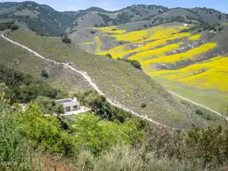 Tranquil Elegance Amidst Panoramic Wilderness