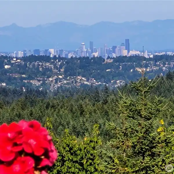 LUXURY HOME ON 2.5 FORESTED ACRES